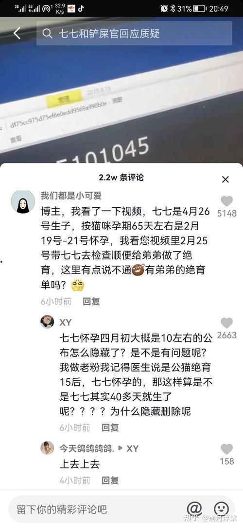 娱乐吃瓜君和七七铲屎官,揭秘娱乐圈与宠物界的趣味故事