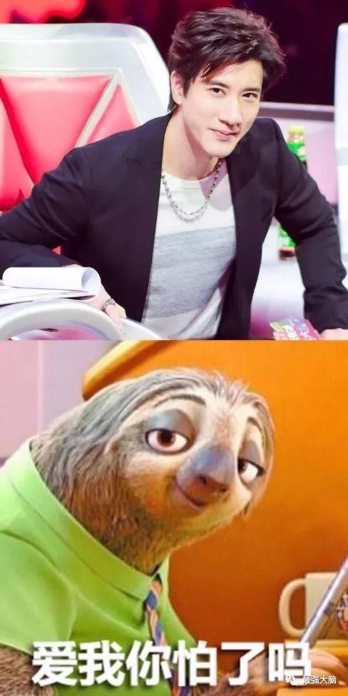 看见偶像表情包,揭秘热门看见偶像表情包背后的故事